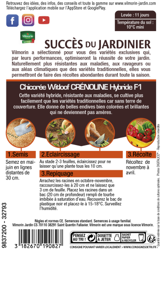 Potagères - Chicorée Witloof Crénoline HF1 - Graines d'Exception - MEDIA_PACKAGING_VERSO